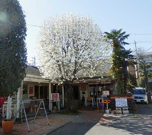 Johnson Town Iruma, Saitama Prefecture, Japan.