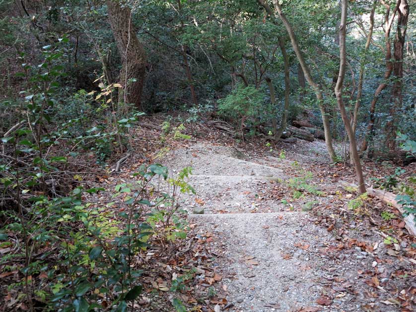 Aichi Kaisho Forest, Seto, Nagoya, Aichi Prefecture.