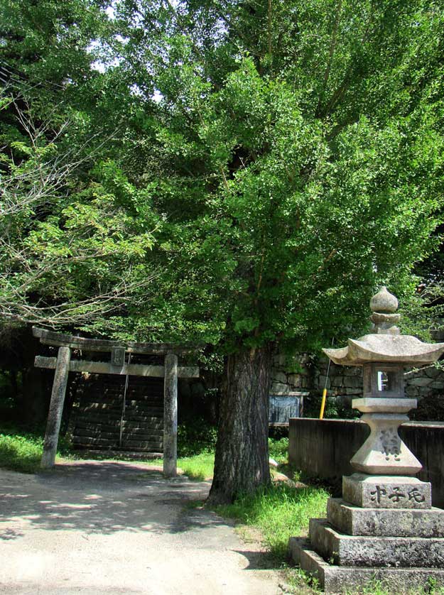 Karube Shrine.