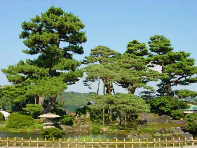 Kenroku-en Garden, Kanazawa.