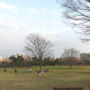 Read a guide to Kiba Park, Tokyo.