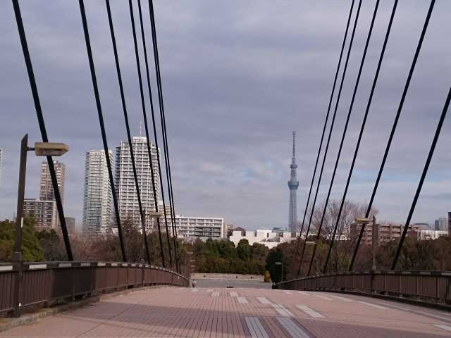 Kiba Koen Park, Koto ward, Tokyo.