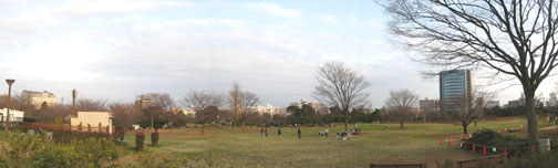 Kiba Koen Park, Koto ward, Tokyo.