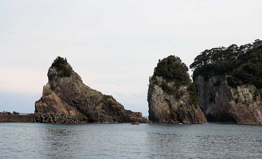 There are around 130 islands located in Katsuura Bay, Wakayama.