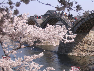 Kintai Bridge, Yamaguchi prefecture, Japan.