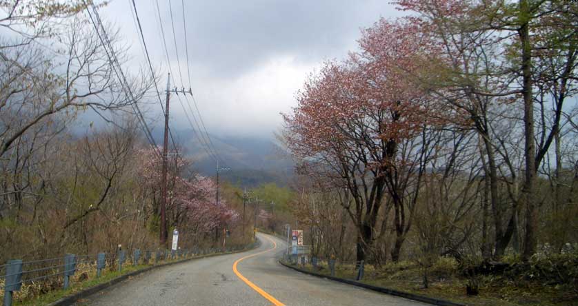 Highway 169, Tochigi.