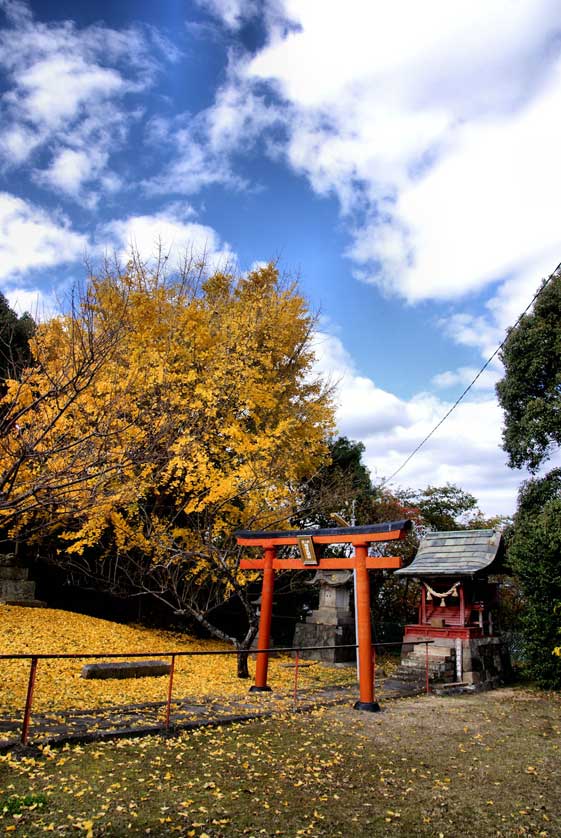 Tenmangu Shrine, Kitsuki, Oita Prefecture, Japan.