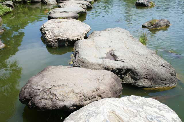 Kiyosumi Teien Garden, Tokyo.