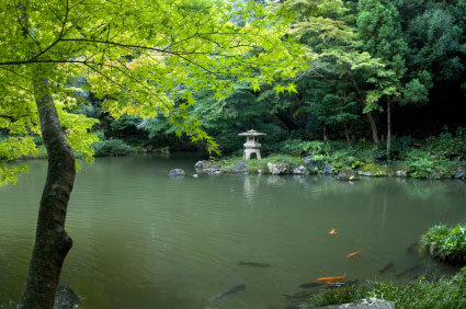 Kiyosumi Teien Gardens, Tokyo.
