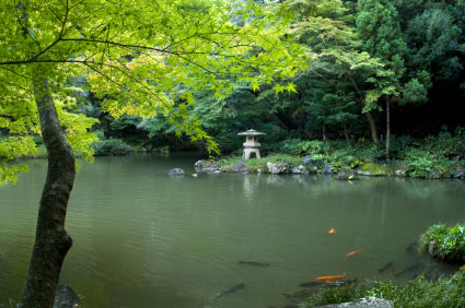 Kiyosumi Teien Garden, Tokyo.