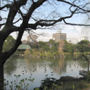 Kiyosumi Teien Garden, Koto ward, Tokyo.