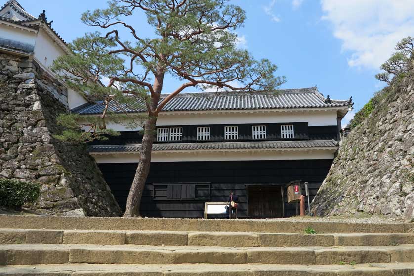 Kochi Castle, Shikoku, Japan.