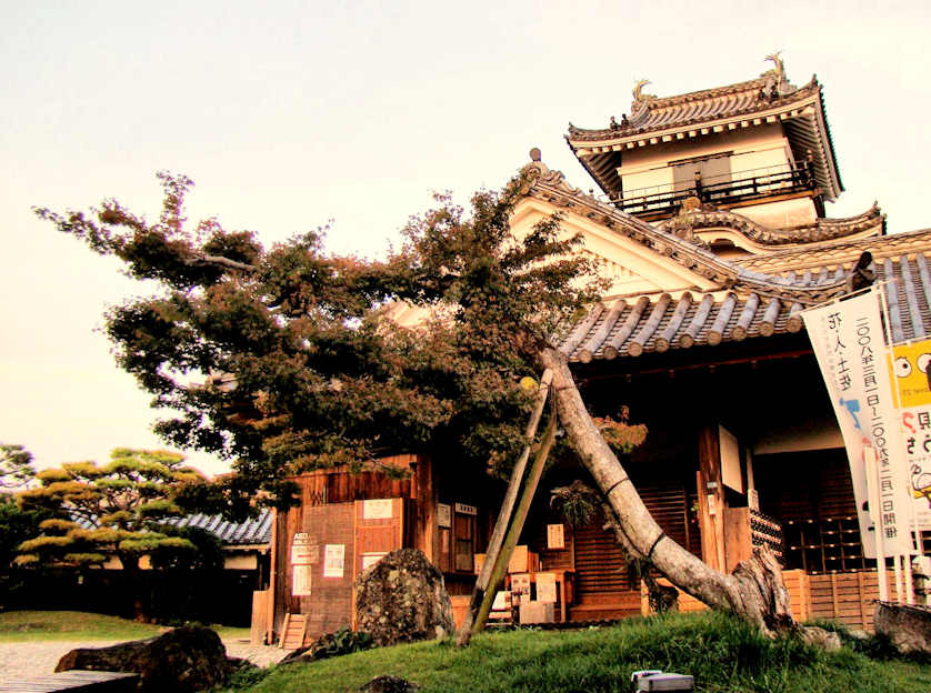 Kochi Castle.