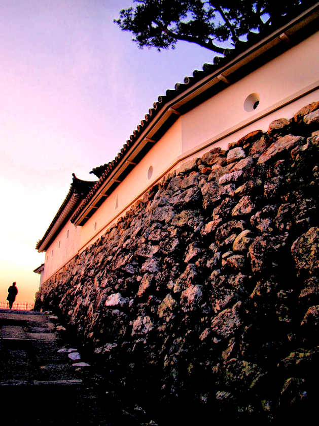 Kochi Castle.