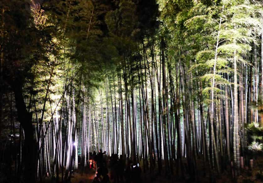 Kodaiji Temple illuminations in Kyoto.