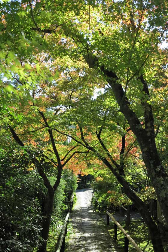 Koetsuji Temple, Takagamine, Kyoto, Japan.