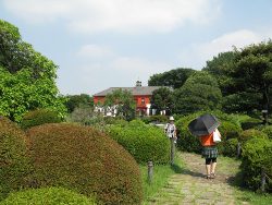Koishikawa Botanical Gardens, Tokyo.