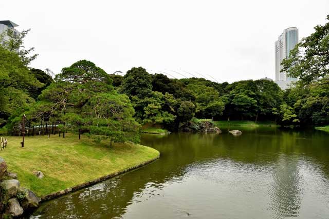 Koishikawa Korakuen Gardens Tokyo, Japan.