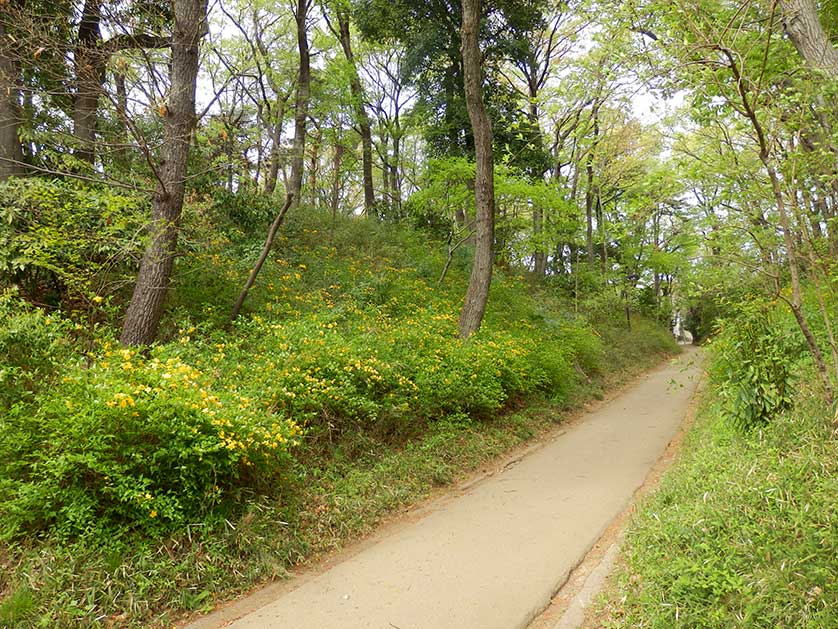 Old Kamakura Road, Kokubunji, Tokyo.