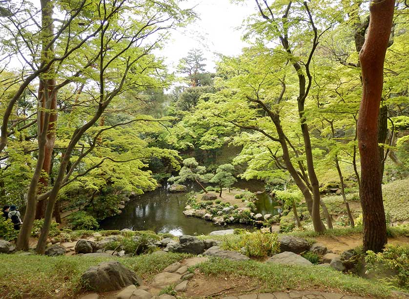 The pond of the Tonogayato Gardens, Kokubunji, Tokyo, Japan.