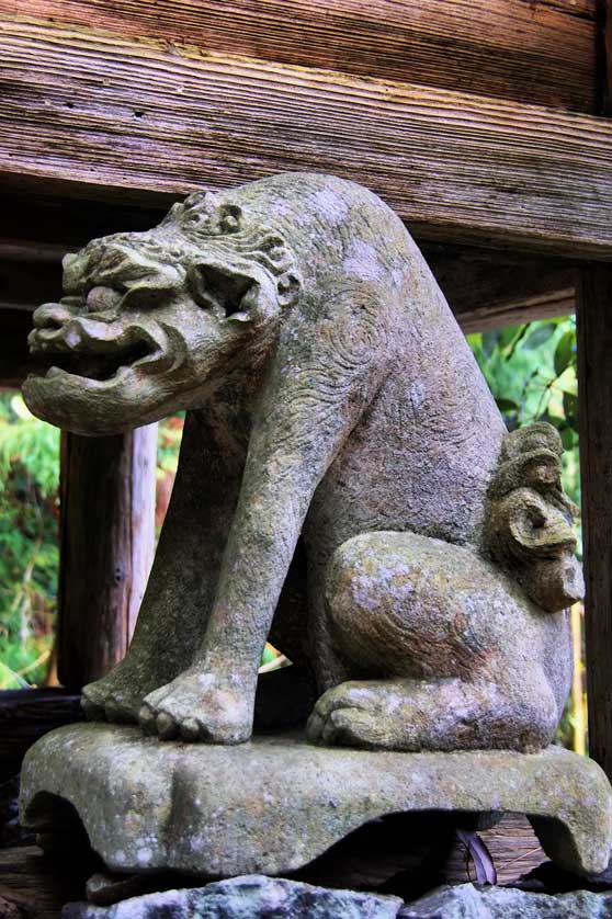 An unusual komainu at Yaeyama Shrine in Okuizumo.