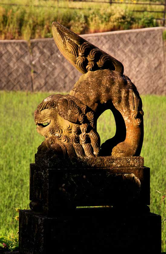 Izumo-stle komainu at Rokusho Shrine in Izumo.