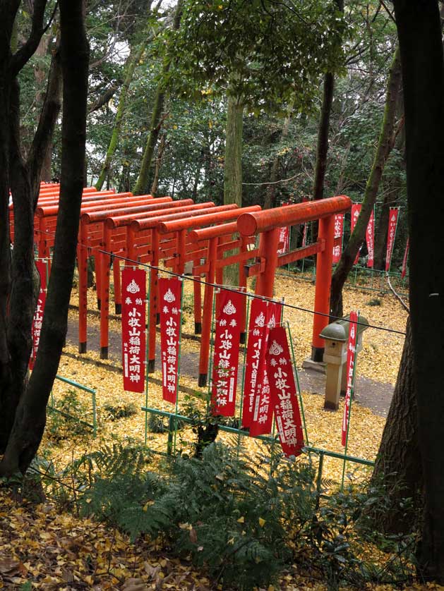 Komaki Castle, Komaki, Aichi Prefecture.