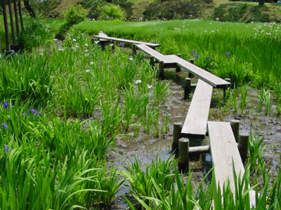 Korakuen Garden, Tokyo.