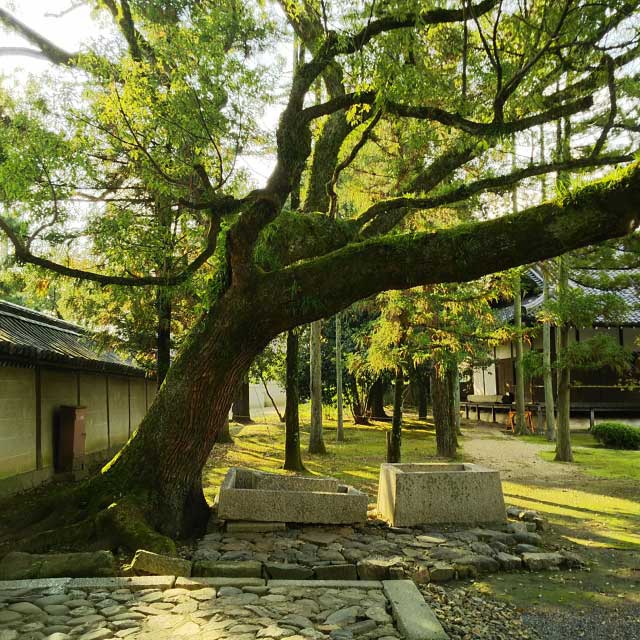 Koryuji Temple, Kyoto, Japan.