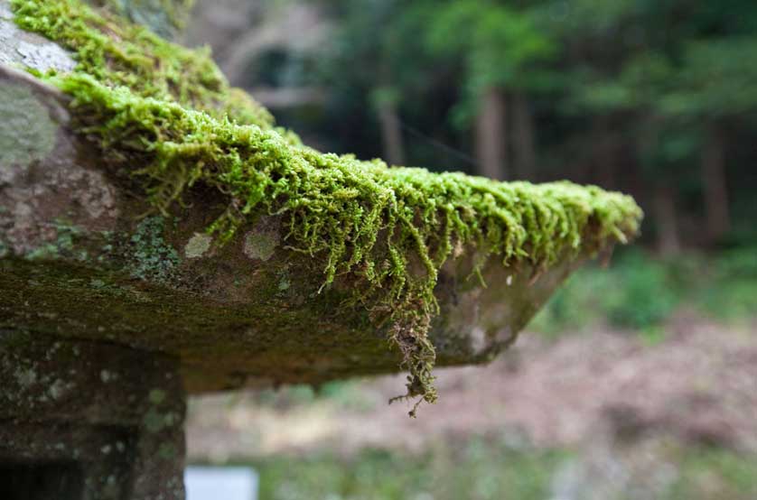 Stone lantern on the Kumano Kodo trail.