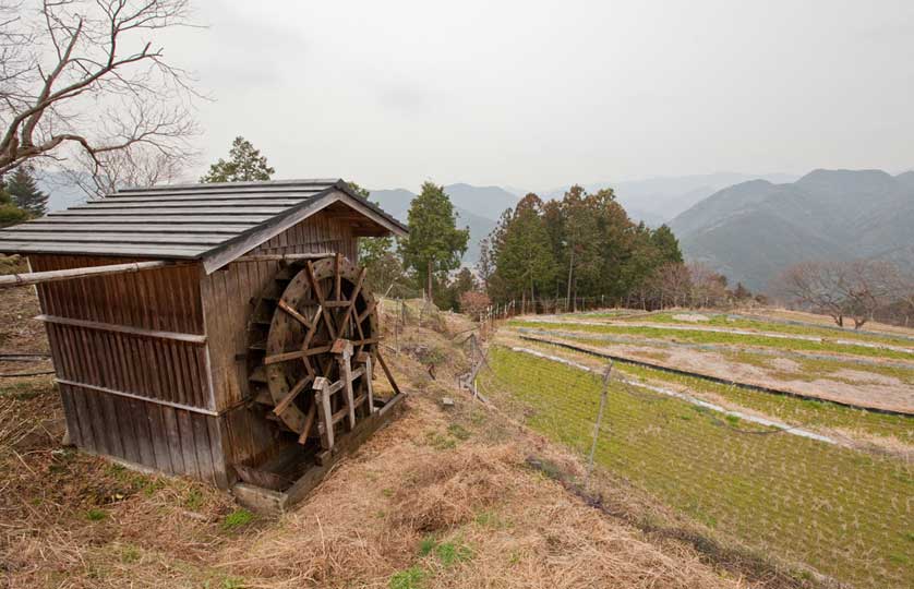 Kumano Kodo, Kii Peninsula