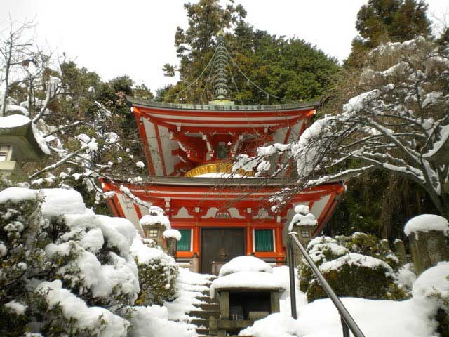 Kurama View