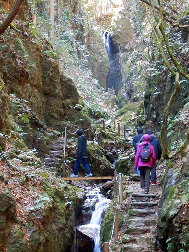 Hikers on their way to the Tengu Taki, Ogose Town, Saitama Prefecture.