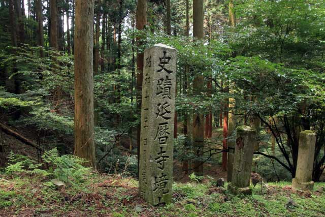 Hiking in the forests of Kyoto.