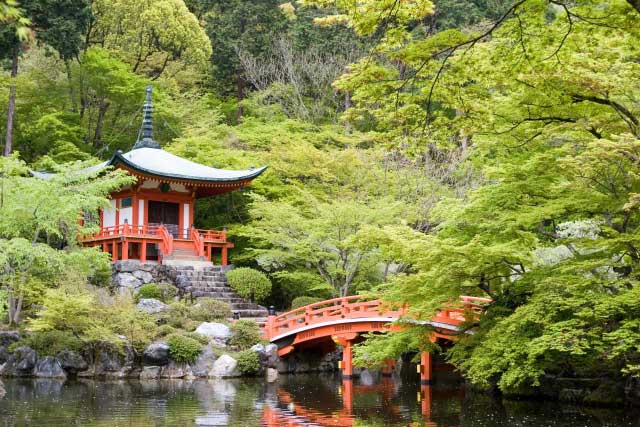 Hiking Daigoji in Kyoto.