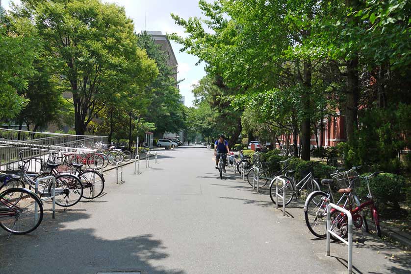 Bicycles, Kyoto University.