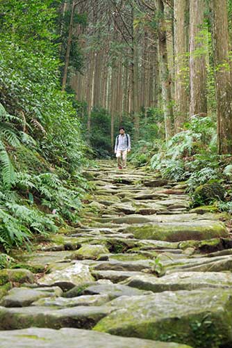 Magose-toge Pass, Owase, Mie Prefecture.