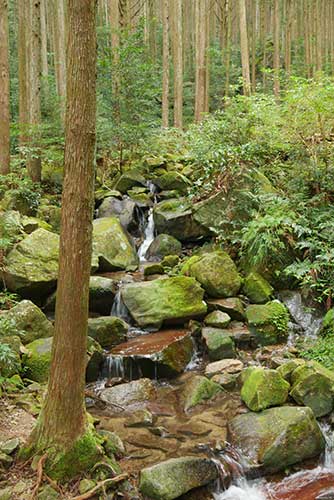 Magose-toge Pass, Owase, Mie Prefecture.