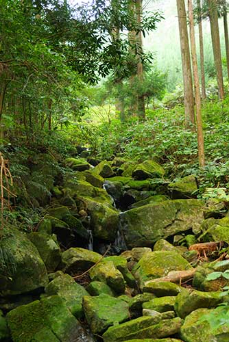 Magose-toge Pass, Owase, Mie Prefecture.