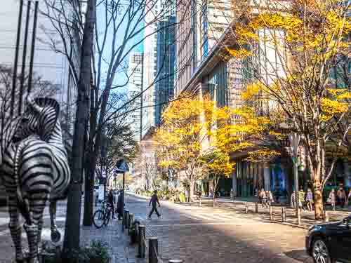 Marunouchi Nakadori, Tokyo.