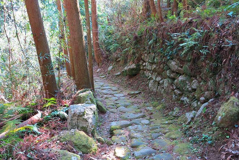 Matsumoto-toge Pass, Kumano-shi, Mie Prefecture.