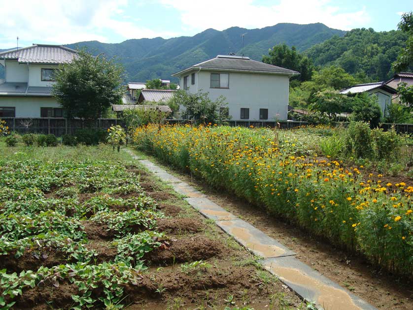 Beautiful Matsushiro, Nagano Prefecture.