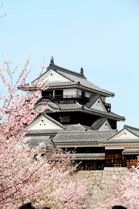 Iyo Matsuyama Castle, Ehime.
