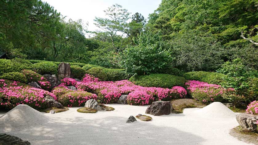 Meigetsuin Temple, Kamakura.