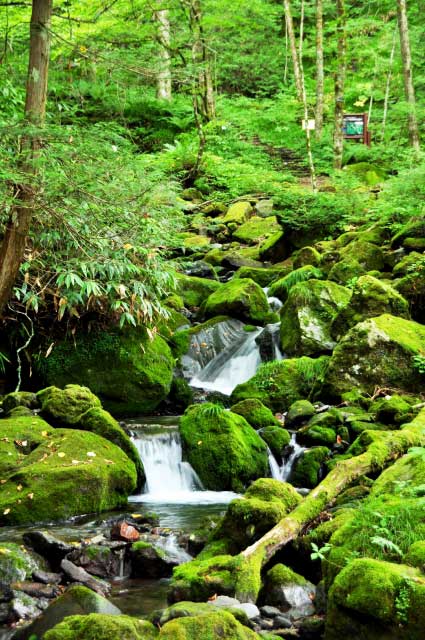 Hiking Mount Mitake near Tokyo.