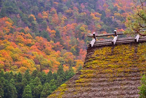 Miyama, Kyoto Prefecture.