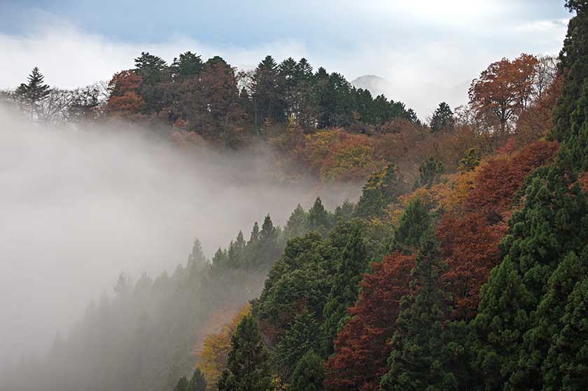 Mt. Mitake, Tokyo, Japan.