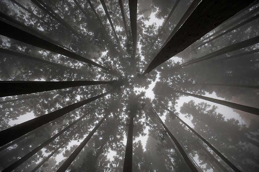 Mt. Mitake, Tokyo, Japan.