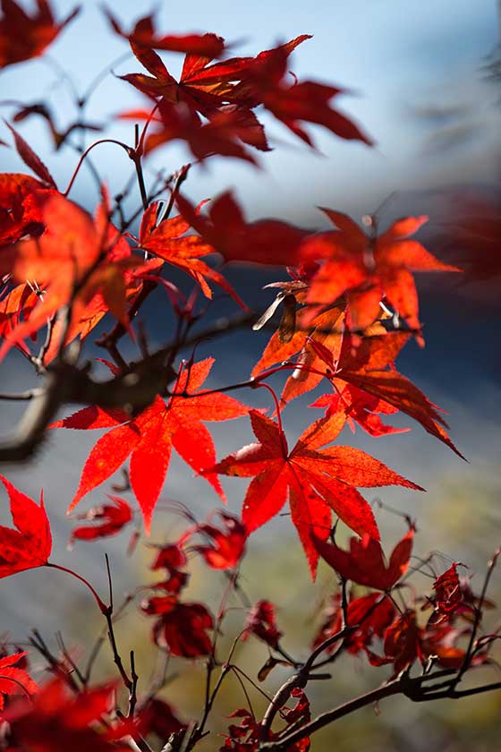 Mountain scenery on the Nakasendo.