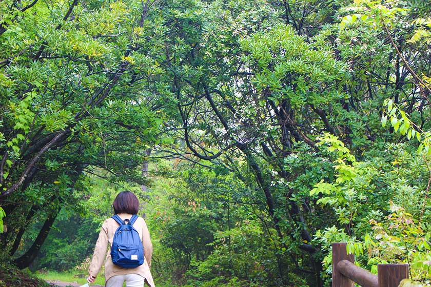 Hiking on Mount Takao.